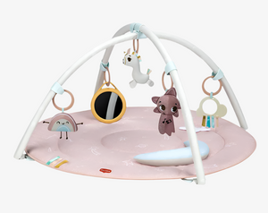 אוניברסיטה לתינוק