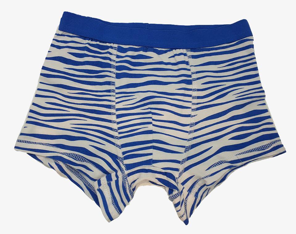 שלישיית תחתוני בוקסר בנים זברה כחול 5 שנים