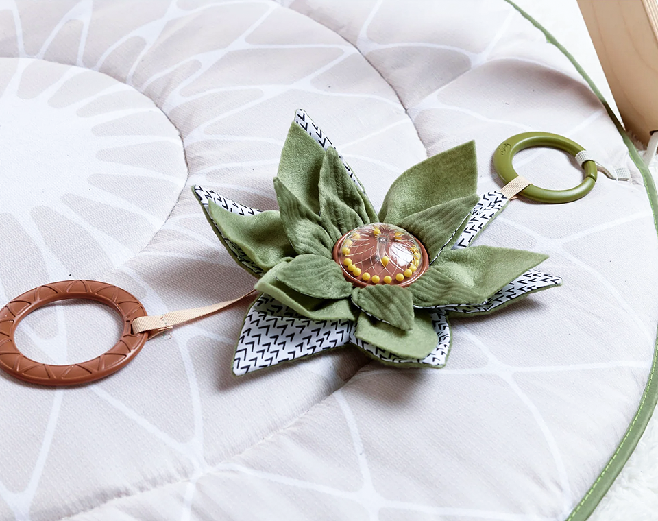 אוניברסיטה ג׳ימיני משולב עץ בוהו שיק