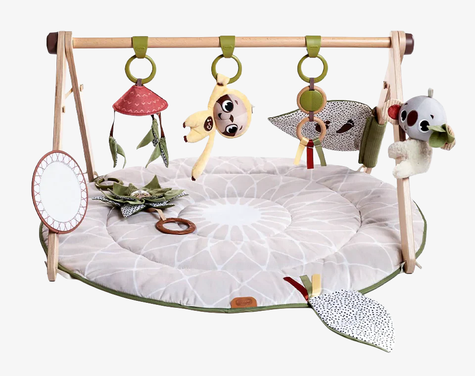 אוניברסיטה ג׳ימיני משולב עץ בוהו שיק