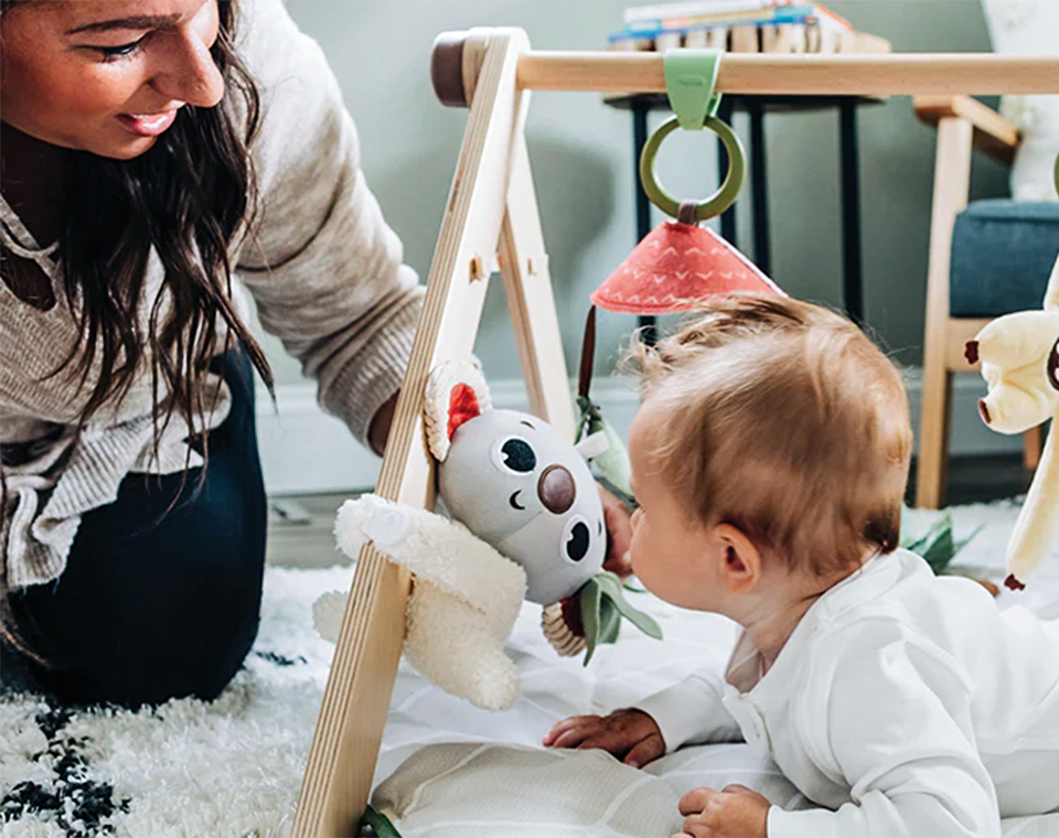 אוניברסיטה ג׳ימיני משולב עץ בוהו שיק