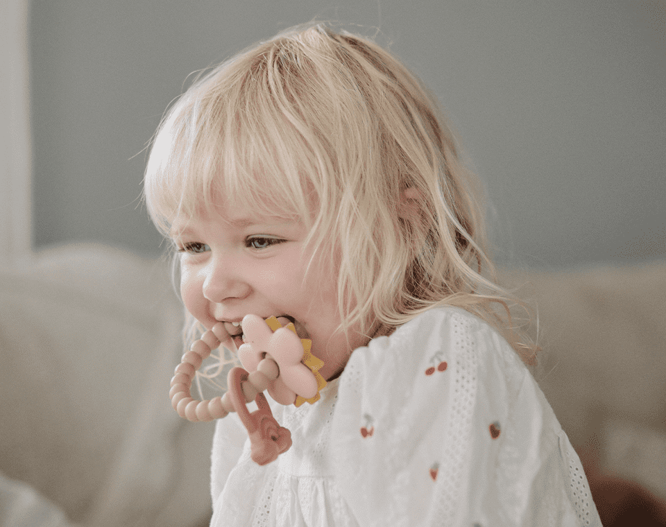 נשכן- טבעת (קשת, שמש, פרח)