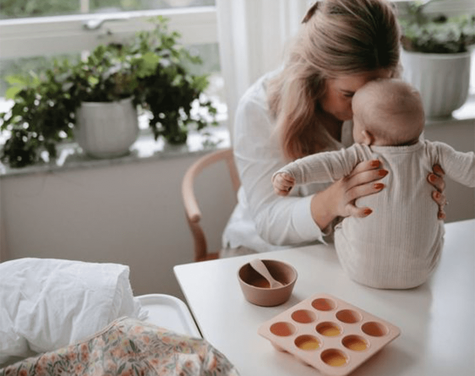 תבנית הקפאת מזון סיליקון Cambridge Blue