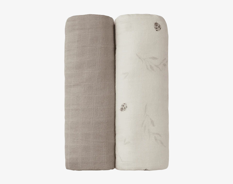 זוג חיתולי במבוק חיפושית