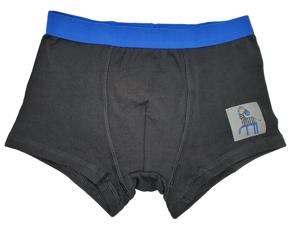 שלישיית תחתוני בוקסר בנים זברה כחול 4 שנים