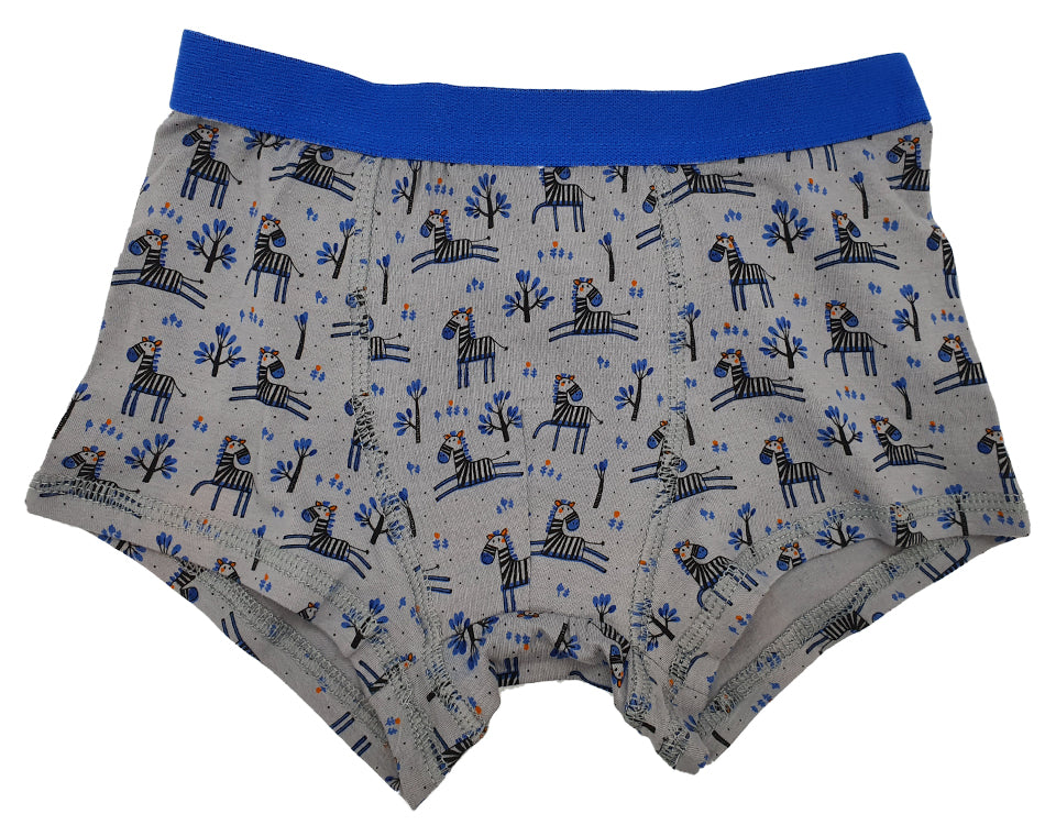 שלישיית תחתוני בוקסר בנים זברה כחול 4 שנים