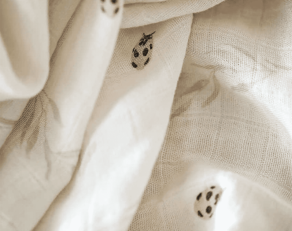 זוג חיתולי במבוק חיפושית