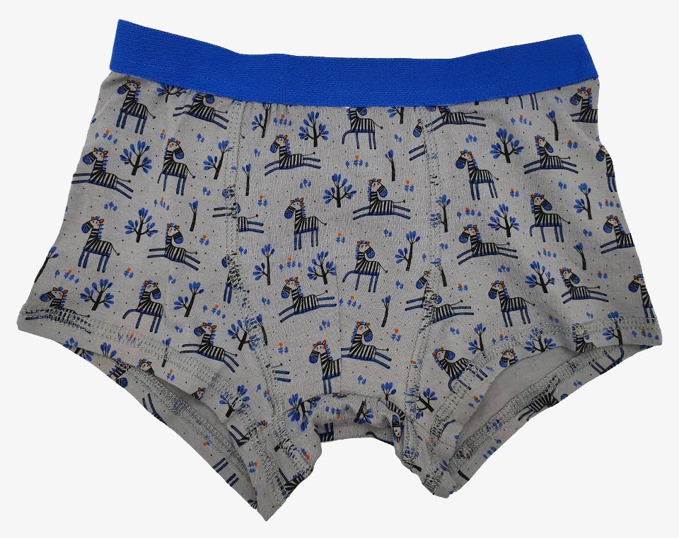 שלישיית תחתוני בוקסר בנים זברה כחול 3 שנים