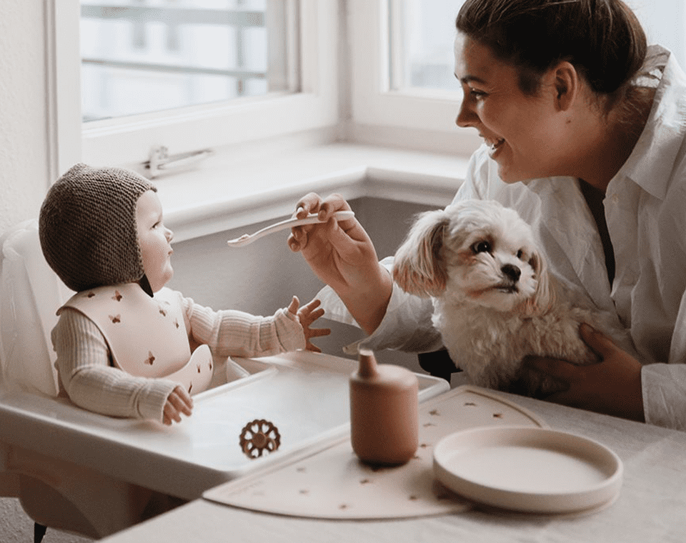 צלחת סיליקון ואקום קלאסית Blush