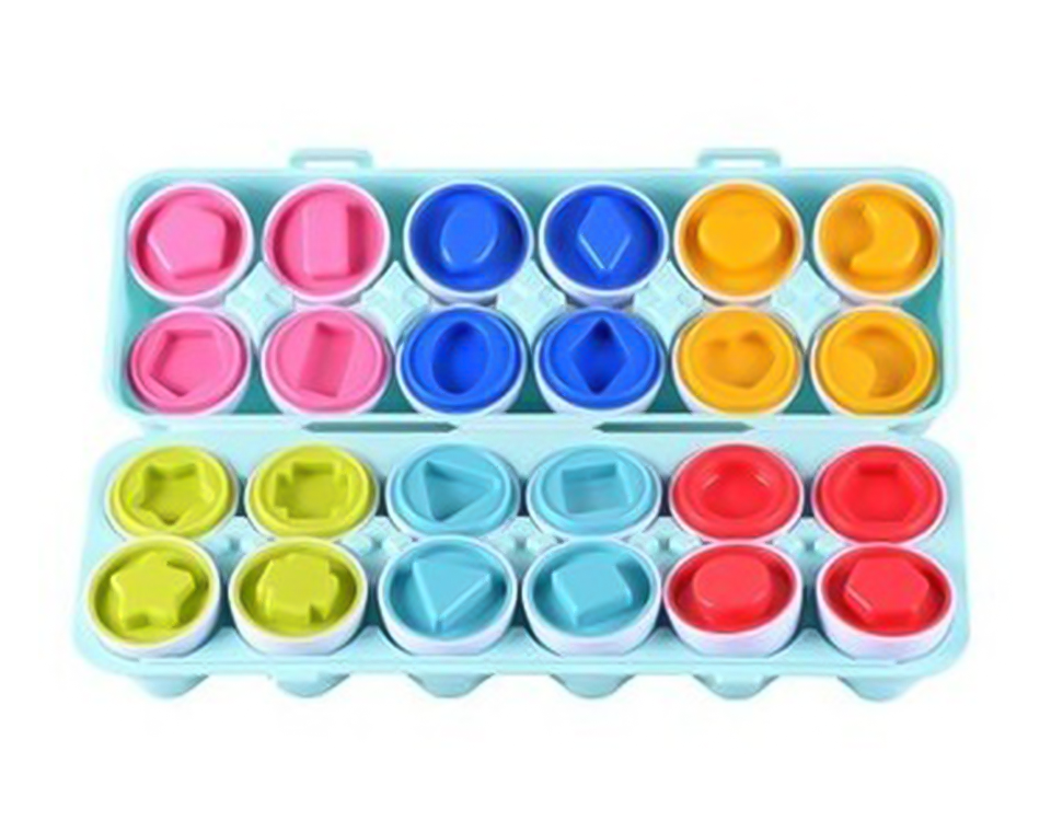 ביצים התאם צורה