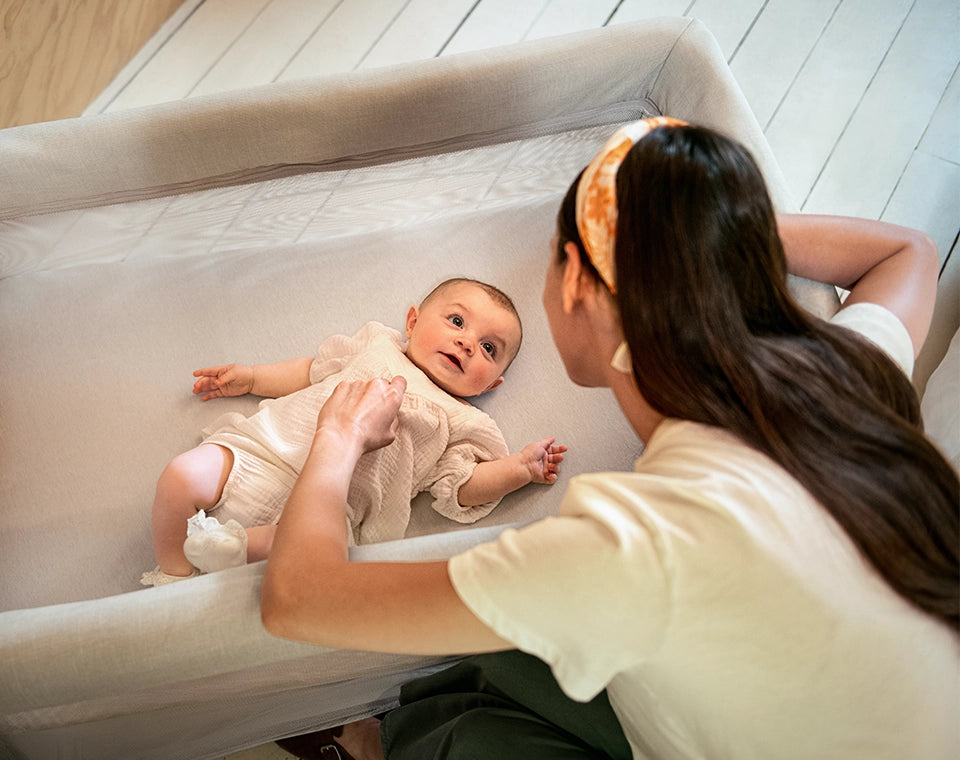 לול PAAL בישקוטי/ Biscotti