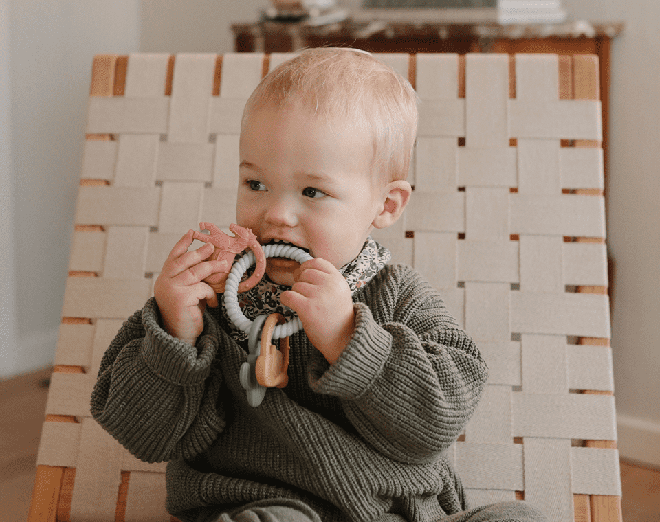 נשכן- טבעת (קשת, שמש, פרח)