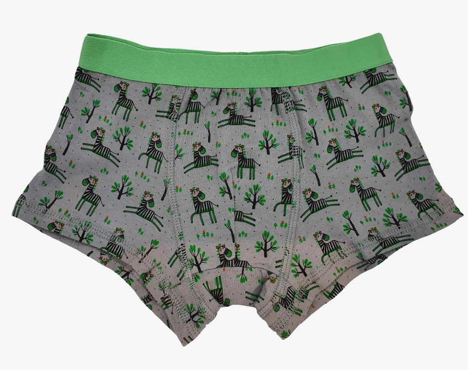 שלישיית תחתוני בוקסר זברה ירוק 5Y