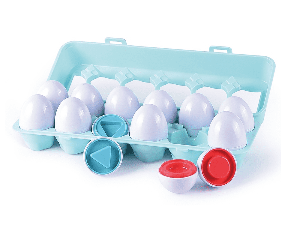 ביצים התאם צורה