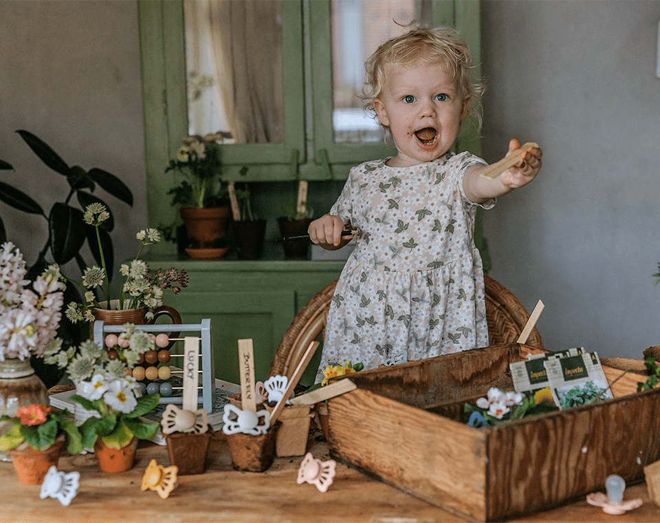 זוג מוצצים BUTTERFLY- מידה 1