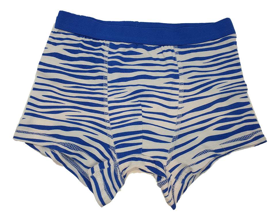 שלישיית תחתוני בוקסר בנים זברה כחול 4 שנים