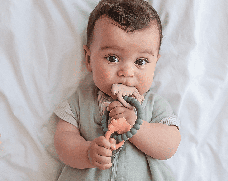 נשכן- טבעת (קשת, שמש, פרח)