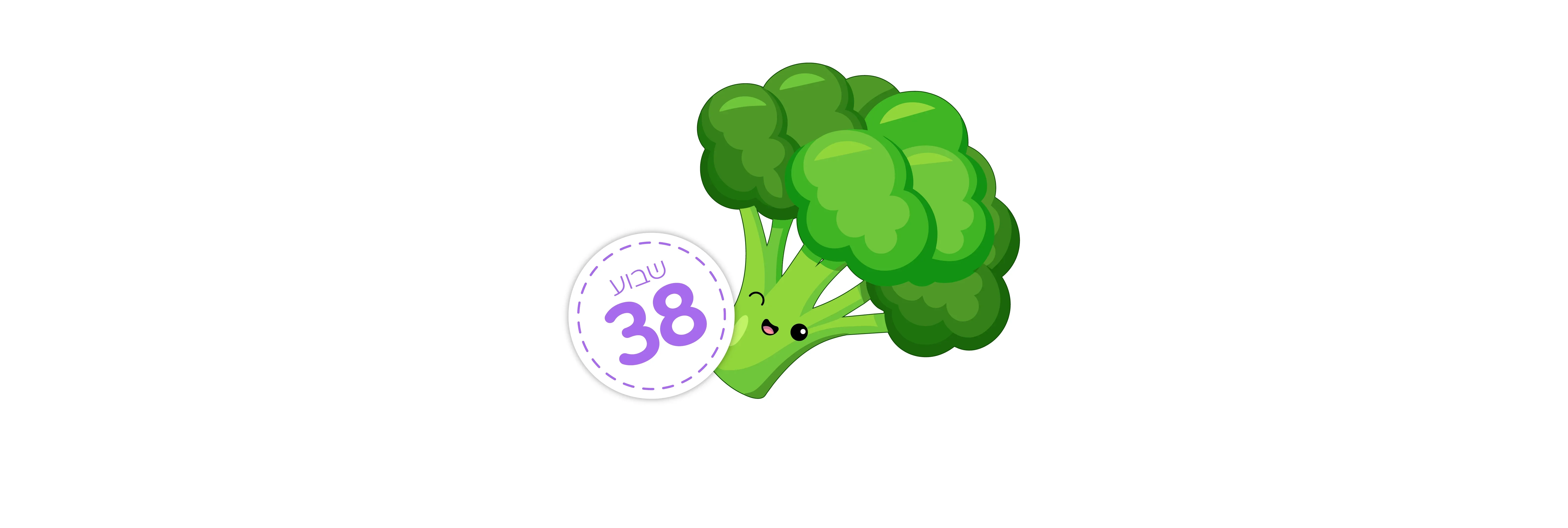 שבוע 38 –  מתי צריך לצאת לבית החולים?