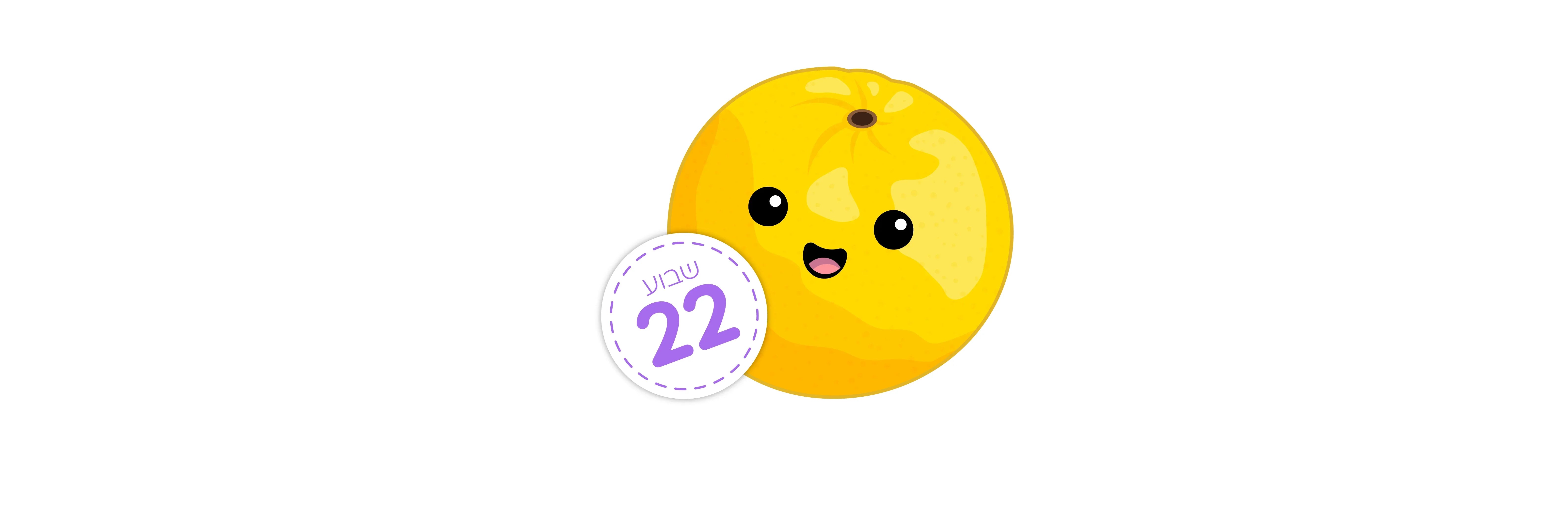 שבוע 22 – כמה התינוק שלי שוקל עכשיו?