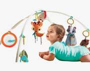 משטח פעילות ג'ימיני tapis