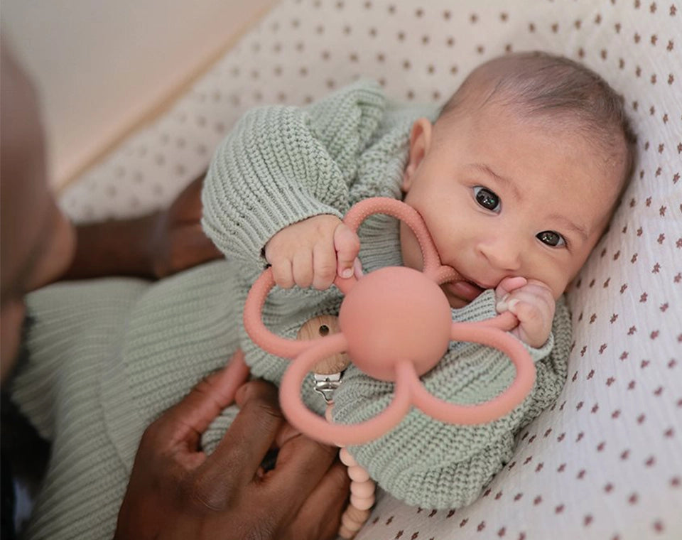 נשכן ורעשן Daisy- soft lilac