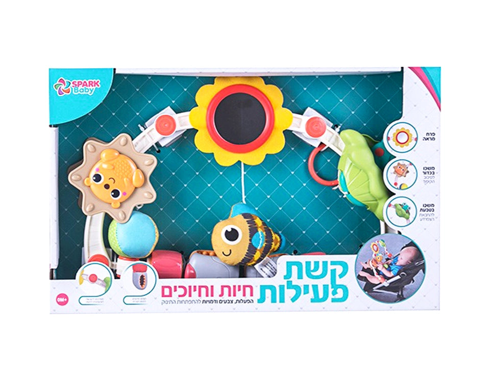 קשת פעילות חיות וחיוכים