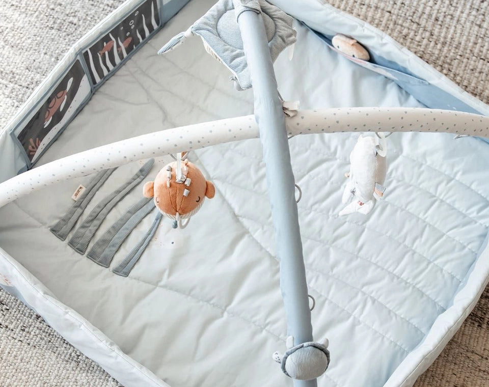 אוניברסיטה לתינוק כחול ים OS