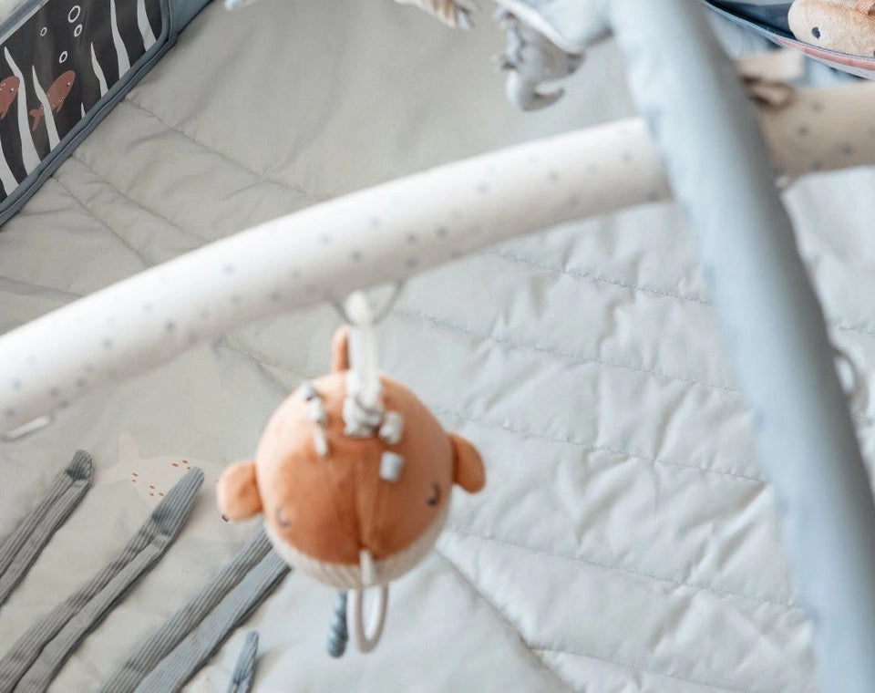 אוניברסיטה לתינוק כחול ים OS