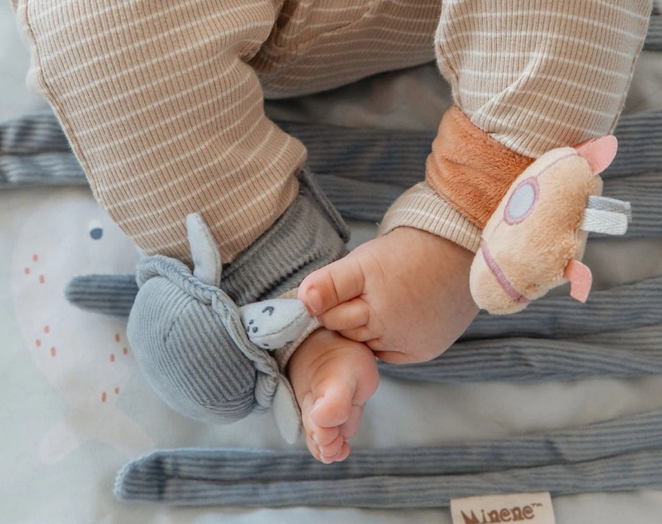 אוניברסיטה לתינוק כחול ים OS