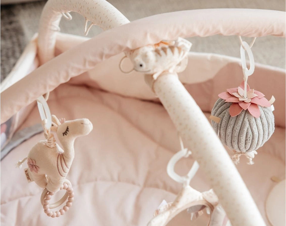 אוניברסיטה לתינוק ורוד מדבר OS