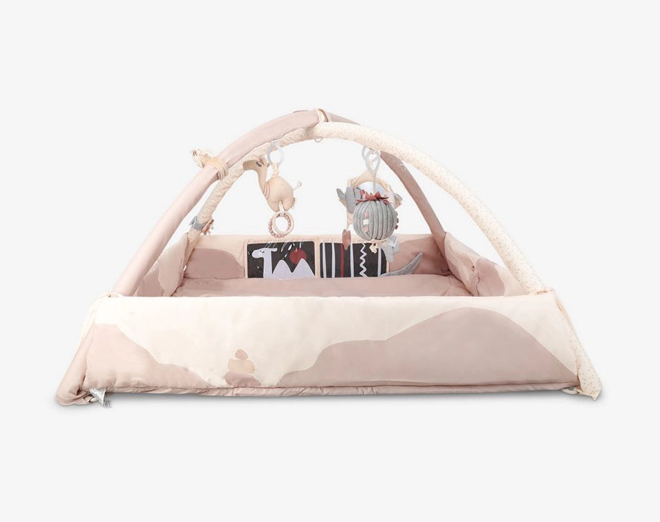 אוניברסיטה לתינוק ורוד מדבר OS