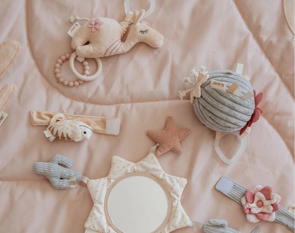 אוניברסיטה לתינוק ורוד מדבר OS