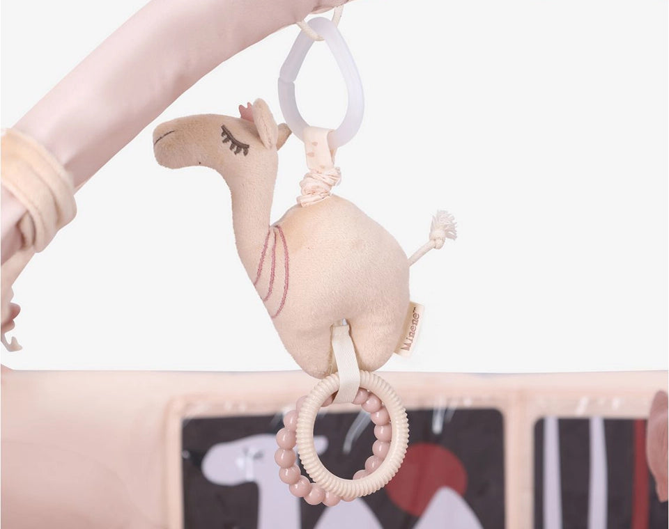 אוניברסיטה לתינוק ורוד מדבר OS