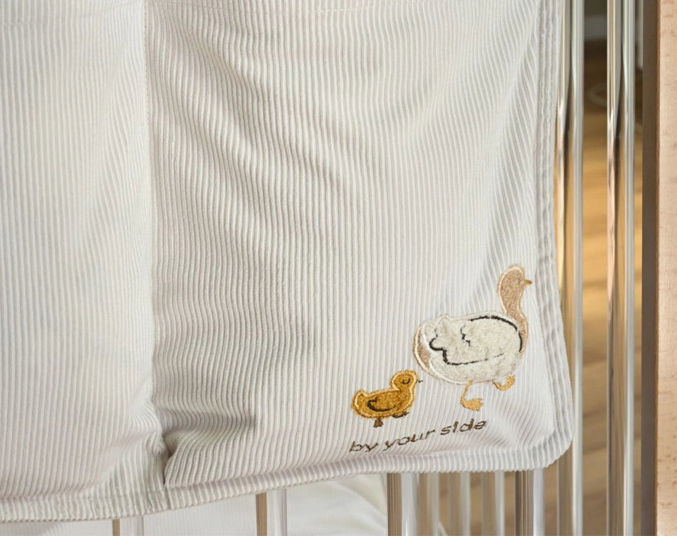 אירגונית קורדורוי Little chick