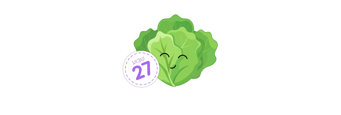 שבוע 27 – האם מה שאני מרגישה בסדר לשבוע זה?