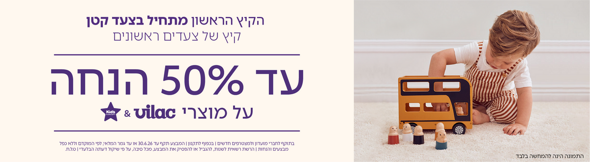 צעצועי עץ