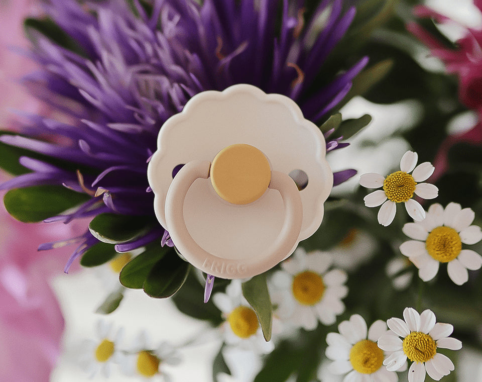 זוג מוצצים DAISY- Chamomile/ Honey Gold