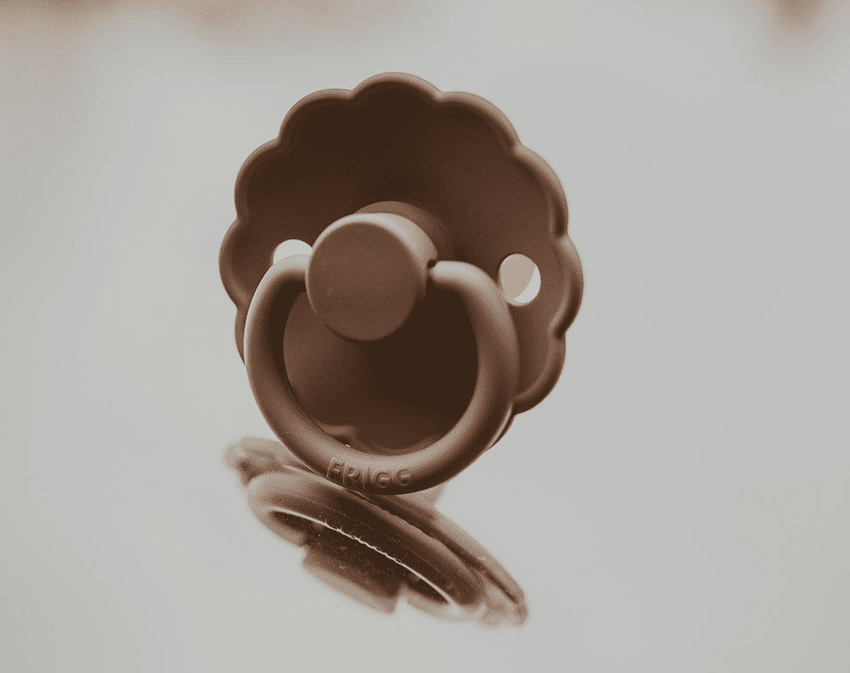 זוג מוצצי גומי DAISY- Graphite/ Peach Bronze