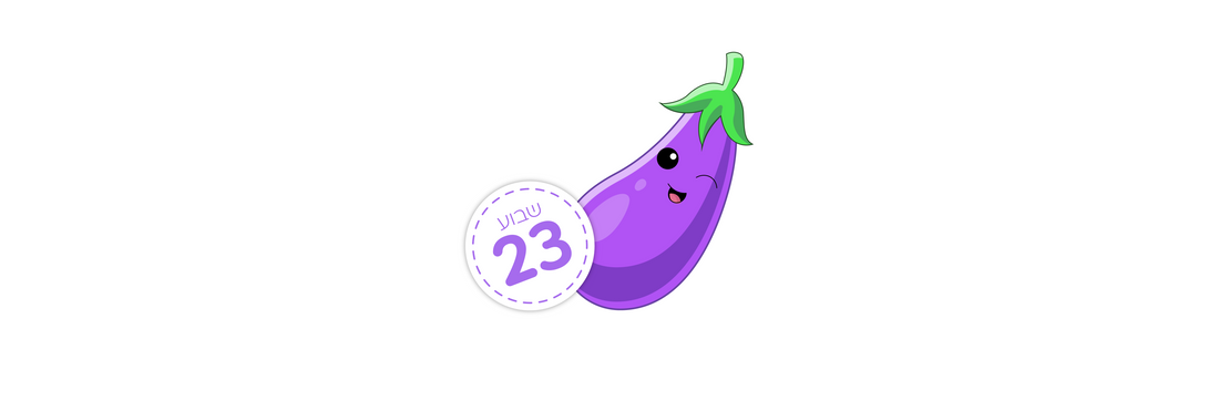 שבוע 23 – איך אני צריכה להרגיש השבוע בהריון?