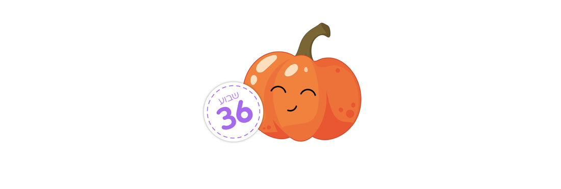 שבוע 36 להריון – מתי הגוף שלי מתחיל להתכונן ללידה?