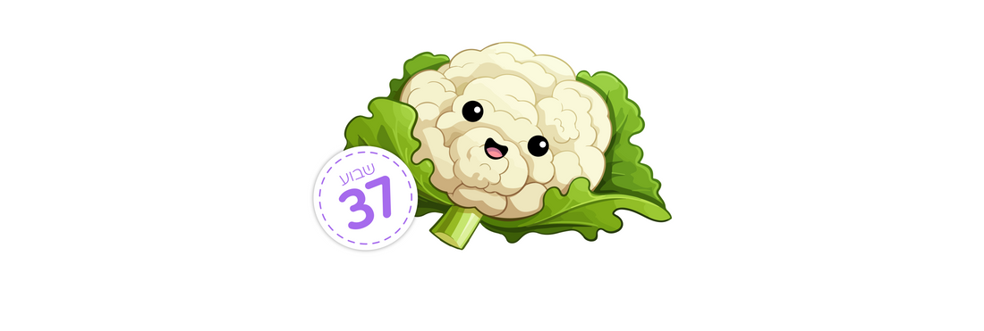 שבוע 37 - מתי אני יכולה ללדת?