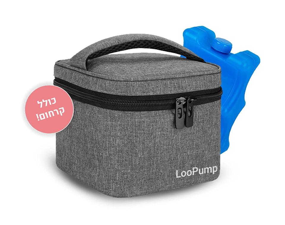 תיק צידנית