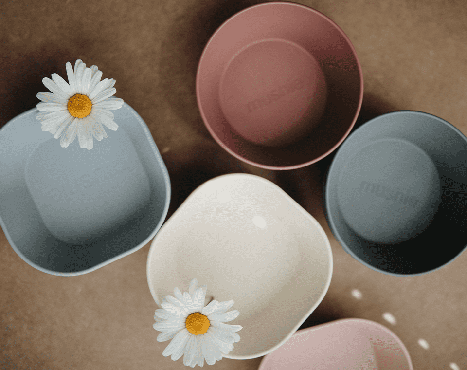 זוג קערות עגולות Woodchuck