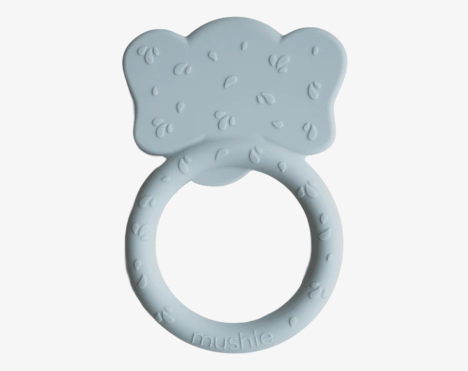 נשכן פיל Cloud