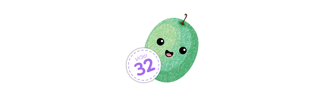 שבוע 32 – כמה התינוק גדל כל שבוע ברחם?