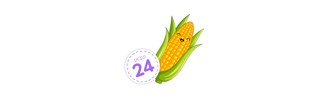 שבוע 24 – איזה בדיקות אני צריכה לעשות השבוע?
