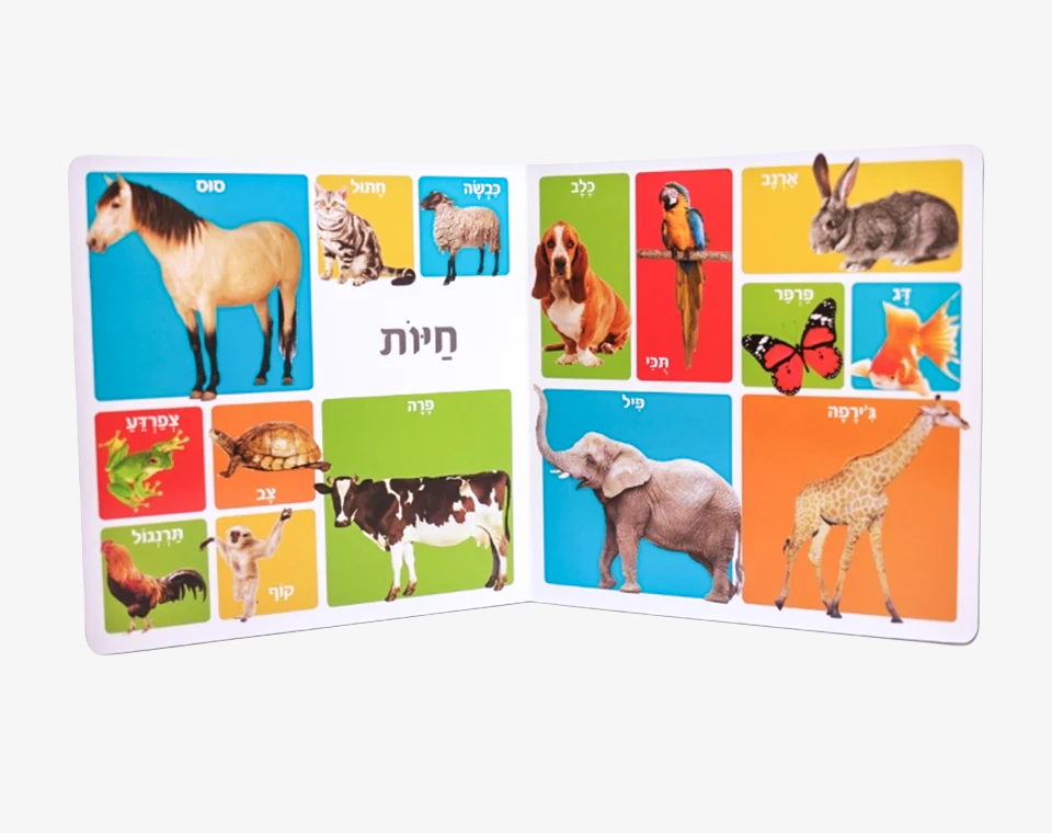 מאה מילים ראשונות