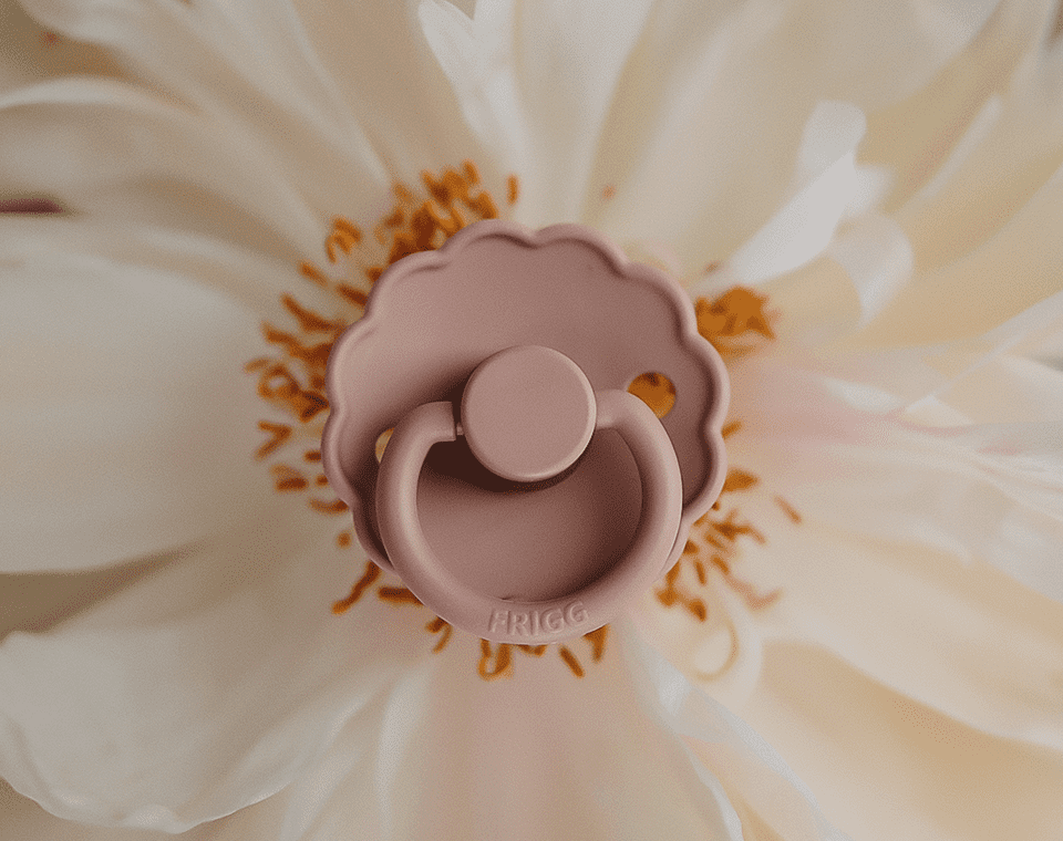 זוג מוצצי גומי DAISY- Honey Gold/ Rose Gold