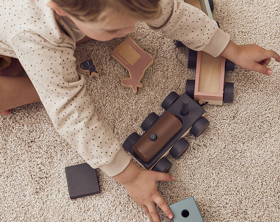 רכבת עץ חיות EDVIN