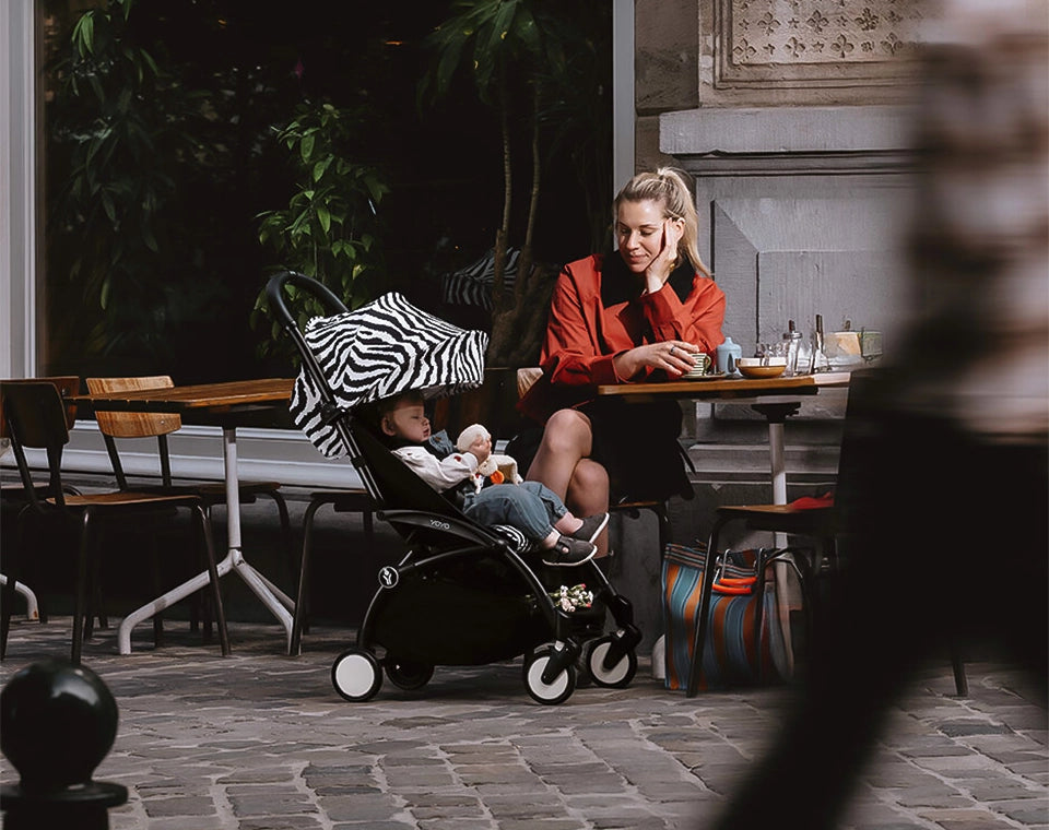 Yoyo 3 זברה- Wild Collection